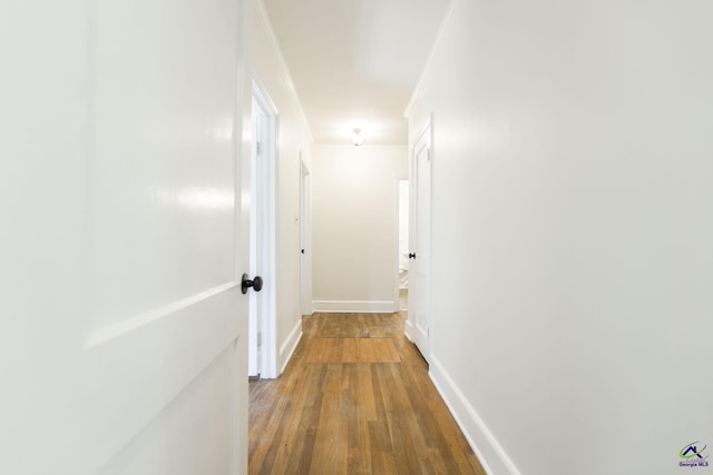 hallway with baseboards, wood-type flooring, and ornamental molding