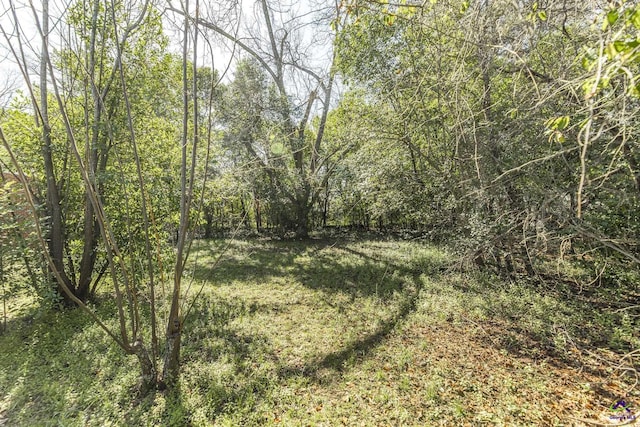 view of landscape featuring a view of trees