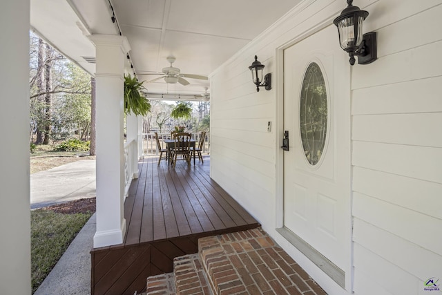 view of exterior entry featuring a porch and a ceiling fan