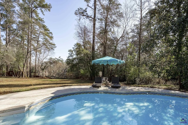 view of pool featuring a yard