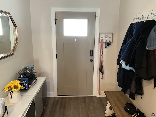 entryway featuring dark wood-type flooring