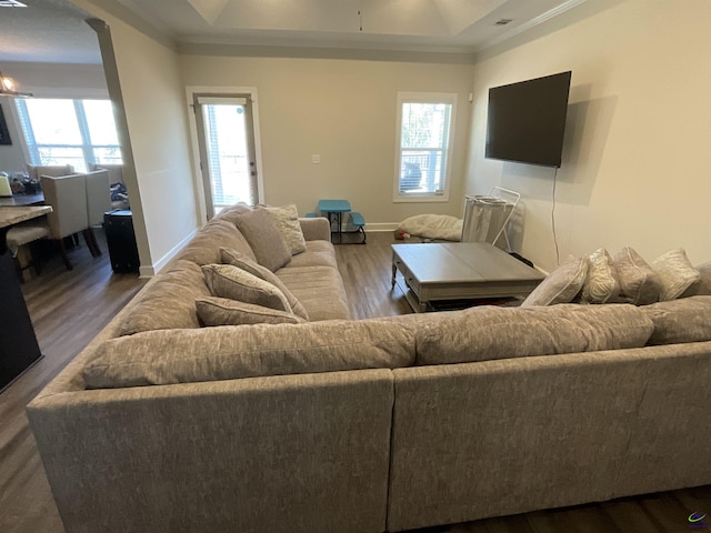 living area featuring a raised ceiling, wood finished floors, and a wealth of natural light