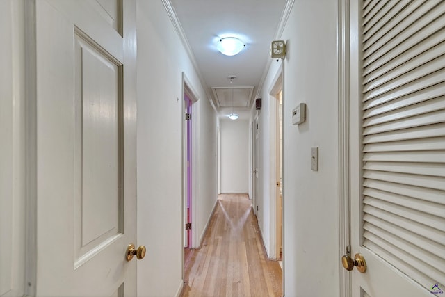 hall with baseboards, attic access, crown molding, and light wood-style floors