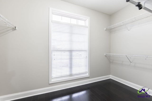 walk in closet with dark wood-style flooring