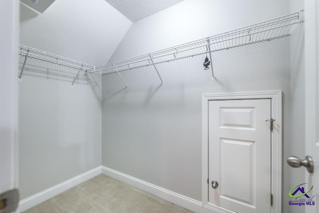 spacious closet with lofted ceiling and carpet floors