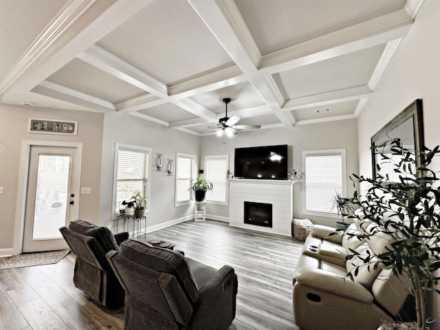 living room with plenty of natural light, a fireplace, baseboards, and wood finished floors