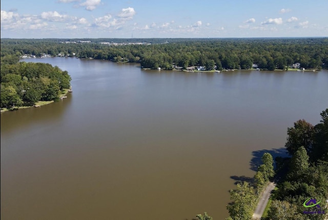 bird's eye view of a forest and a large body of water