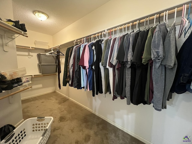 walk in closet with carpet