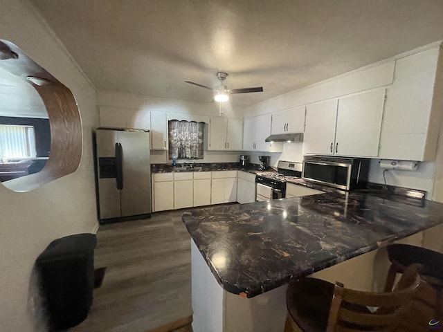 78 Duncan St, Fort Valley, GA 31030 - kitchen with stainless steel appliances, under cabinet range hood, a peninsula, dark wood-style floors, and ceiling fan