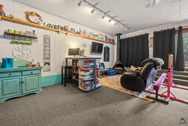 carpeted living room featuring rail lighting and a wood stove