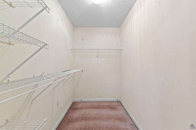 spacious closet with light colored carpet