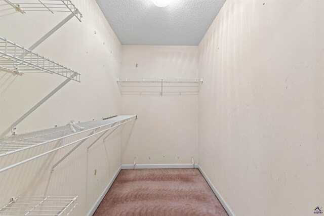 spacious closet featuring light carpet