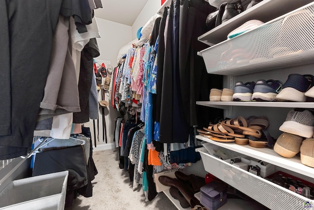 walk in closet with carpet flooring
