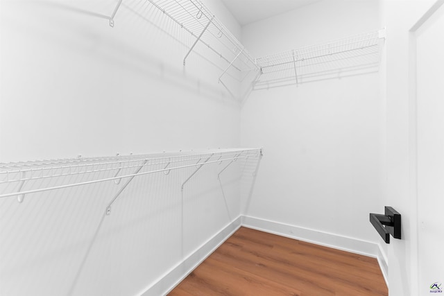 spacious closet with wood finished floors