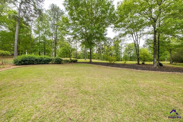 160 Barrington Hall Dr, Macon, GA 31220 - view of yard