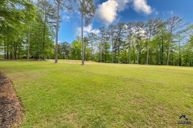 160 Barrington Hall Dr, Macon, GA 31220 - view of yard