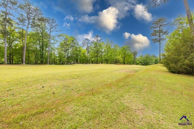 160 Barrington Hall Dr, Macon, GA 31220 - view of yard