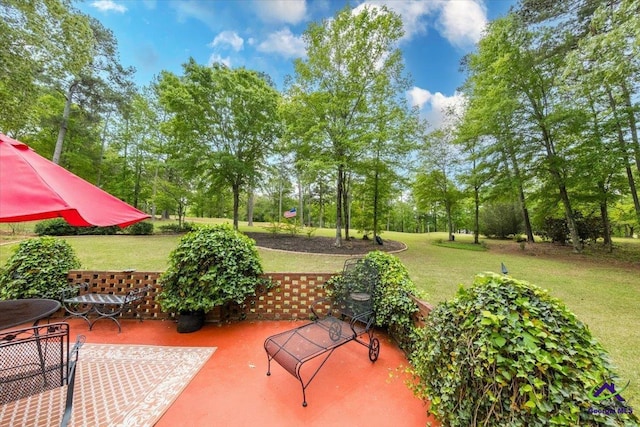 160 Barrington Hall Dr, Macon, GA 31220 - view of patio