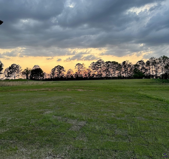 yard at dusk with a rural view