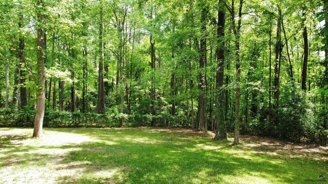 2045 Greentree Pkwy, Macon, GA 31220 - view of yard featuring a view of trees