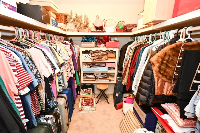 spacious closet featuring carpet flooring