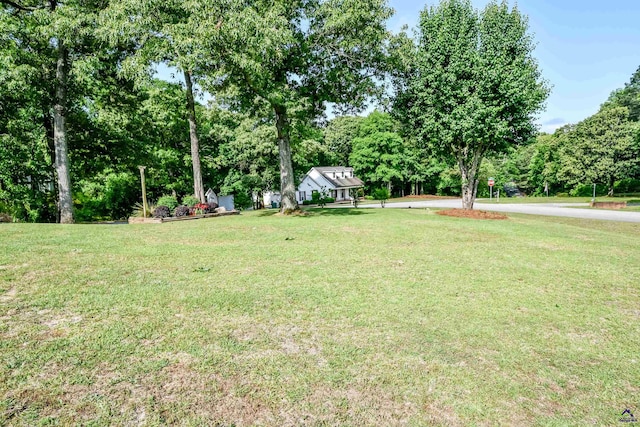 view of yard
