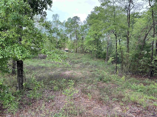 7515 Goodall Mill Rd, Macon, GA 31216
