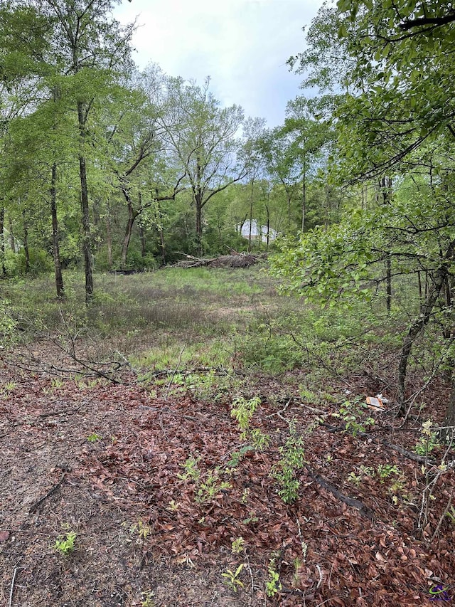 7515 Goodall Mill Rd, Macon, GA 31216