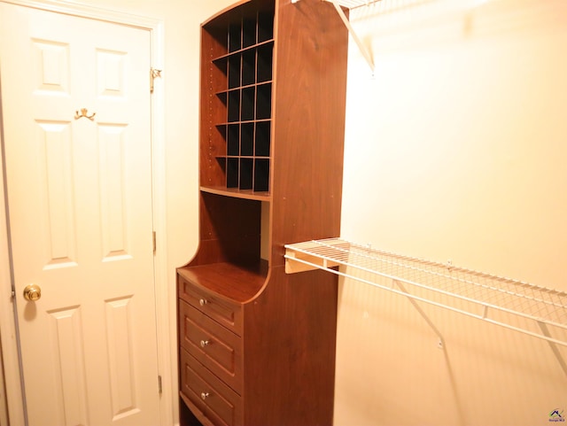 view of walk in closet