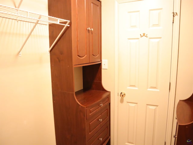 view of walk in closet
