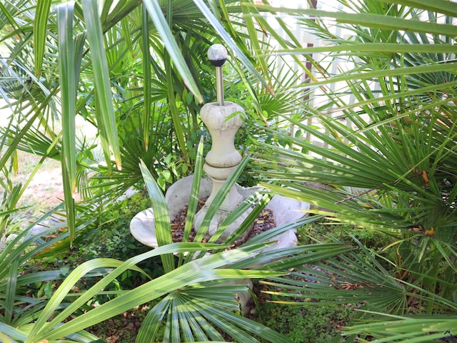 view of details