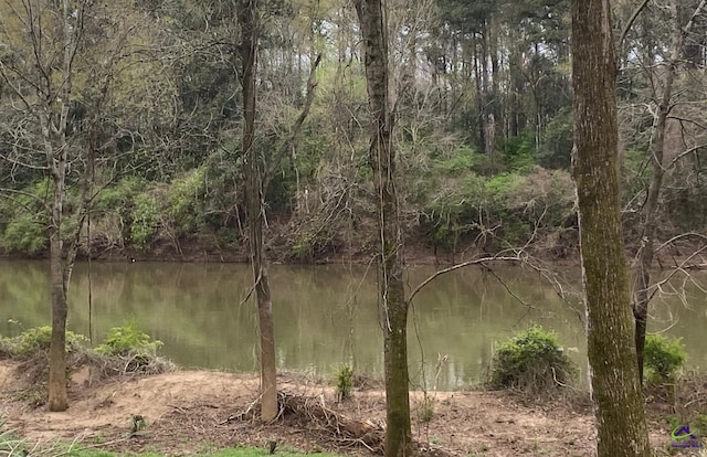 1218 Nottingham Dr, Macon, GA 31210 - property view of water with a view of trees
