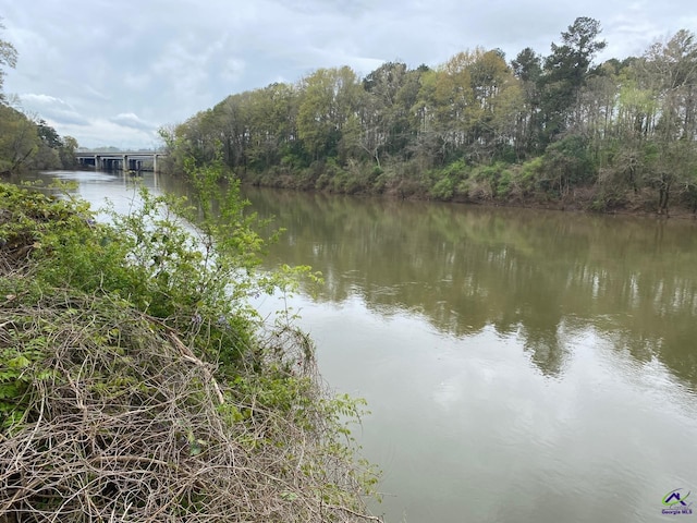 1218 Nottingham Dr, Macon, GA 31210 - water view