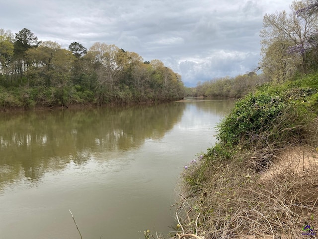 1218 Nottingham Dr, Macon, GA 31210 - water view featuring a wooded view