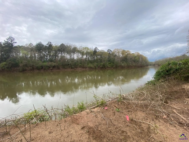 1218 Nottingham Dr, Macon, GA 31210 - water view with a view of trees