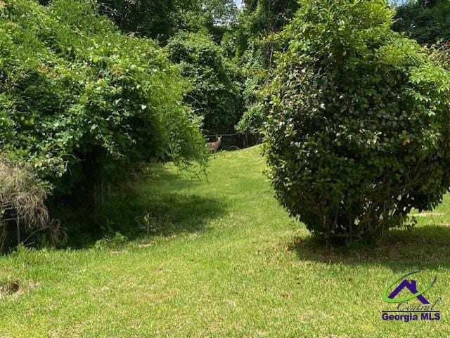1218 Nottingham Dr, Macon, GA 31210 - view of landscape