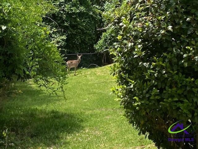 1218 Nottingham Dr, Macon, GA 31210 - view of yard