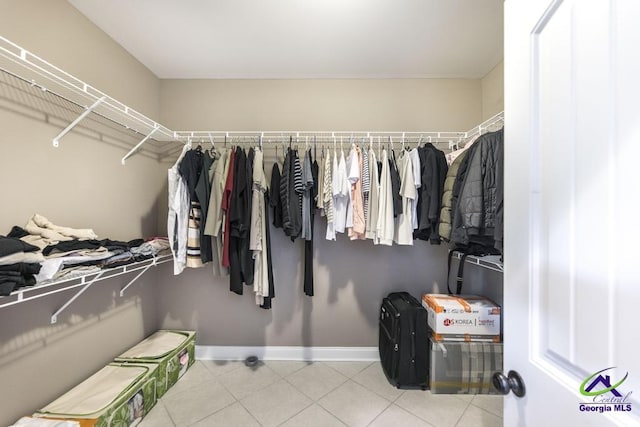 view of spacious closet