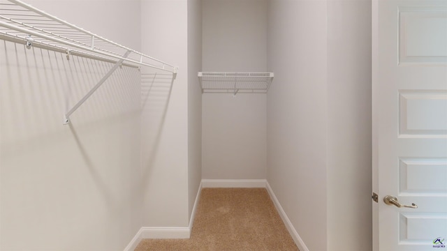 walk in closet featuring carpet floors