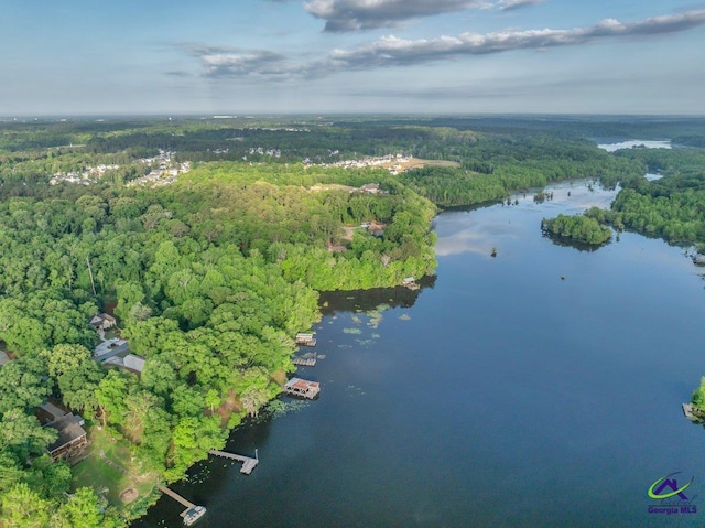 aerial view featuring a water view and a wooded view