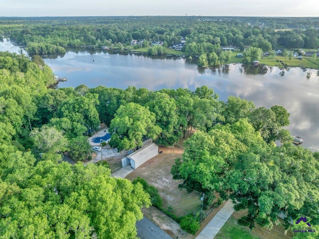 bird's eye view with a water view and a wooded view
