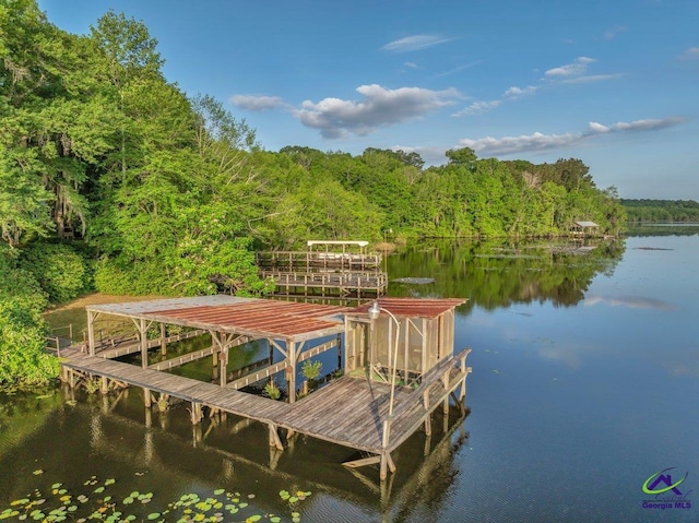 view of dock with a view of trees and a water view