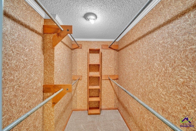 spacious closet featuring carpet