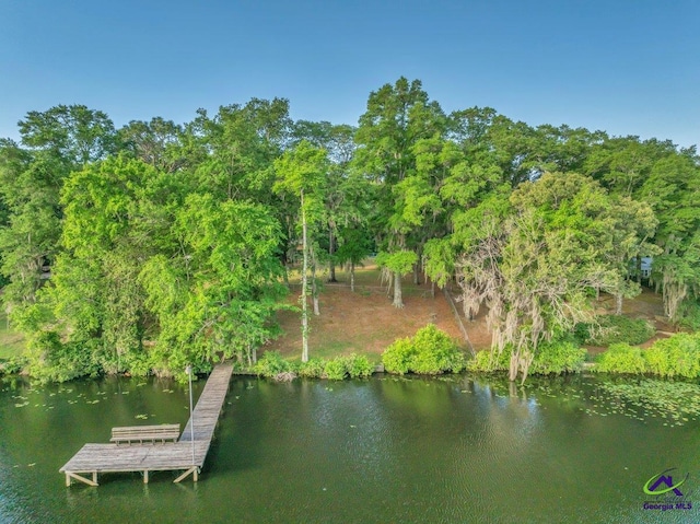 view of dock with a water view