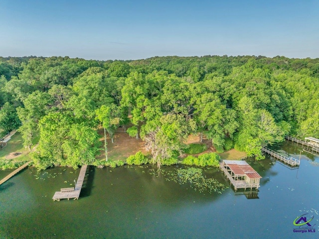 birds eye view of property with a water view and a forest view