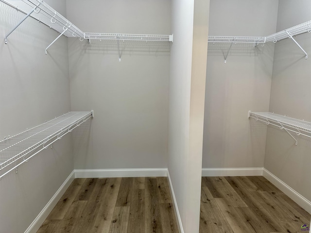 walk in closet with light wood-style floors