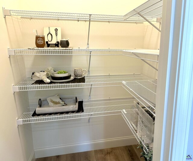 84 Camden Way, Hawkinsville, GA 31036 - view of pantry