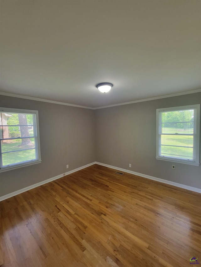empty room with plenty of natural light, baseboards, and ornamental molding