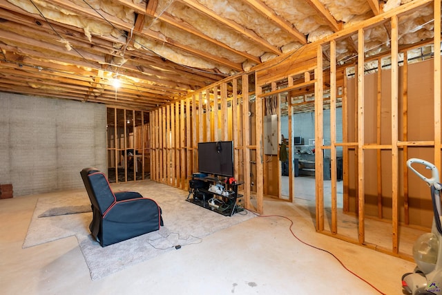 unfinished below grade area with electric panel