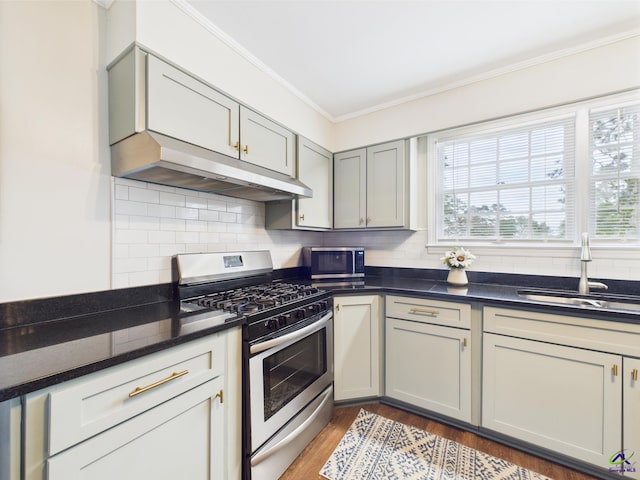 kitchen with crown molding, wood finished floors, a sink, under cabinet range hood, and stainless steel appliances